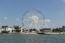 Ronce_juillet_2013_145