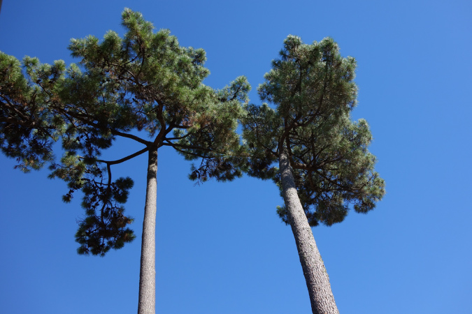 25_septembre_2013_03