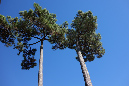 25_septembre_2013_03