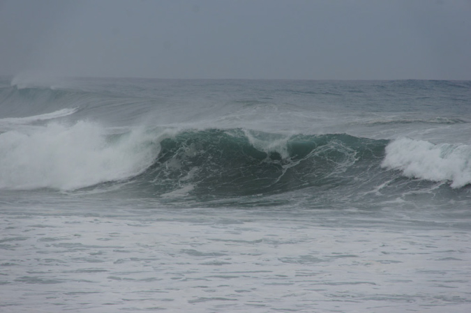 31_janv_2013_087