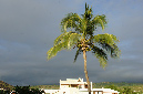 07_avril_2013_15