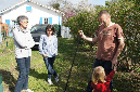 Ronce_avril_2013_004