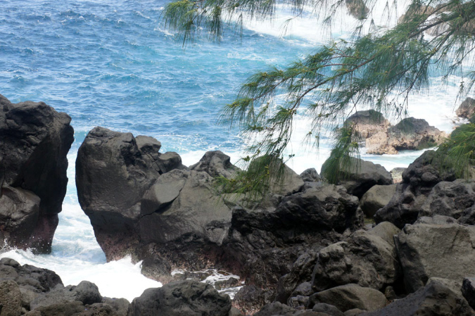 14_fevrier_2013_37