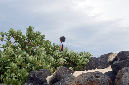 01_fevrier_2013_41