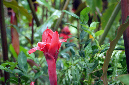 14_fevrier_2013_53
