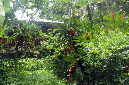 14_fevrier_2013_57