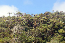 26_fevrier_2013_02