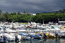 26_fevrier_2013_43