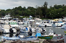 26_fevrier_2013_56