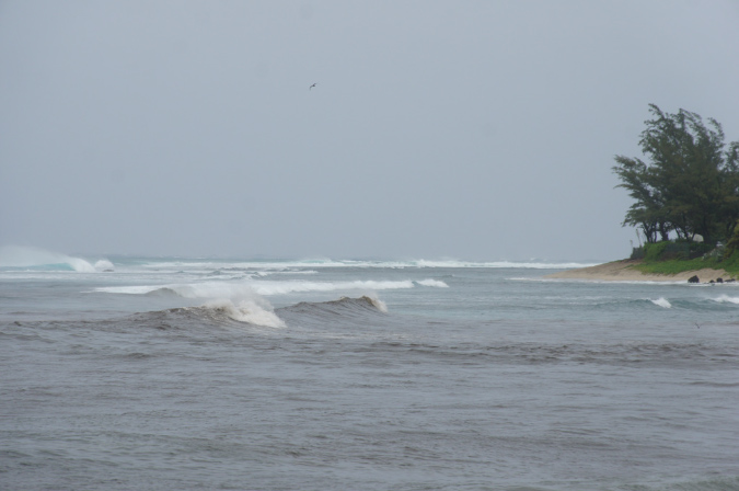 03_janv_2013_16