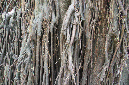 07_janv_2013_040