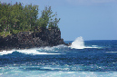 07_janv_2013_125