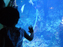 12_janv_2013_16