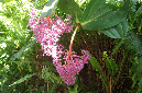 23_janv_2013_20