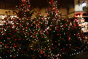 16decembre_2014_04
