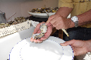 Ronce_aout_2014_057