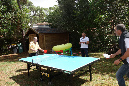 Ronce_aout_2014_069