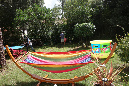 Ronce_aout_2014_072