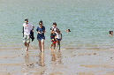 Ronce_aout_2014_161