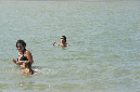 Ronce_aout_2014_164