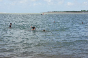 Ronce_aout_2014_166