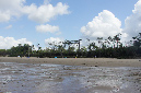 Ronce_aout_2014_168