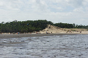 Ronce_aout_2014_169