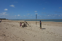 Ronce_aout_2014_183