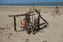 Ronce_aout_2014_184