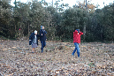 30nov_2014_ronce_37