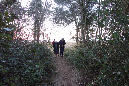 30nov_2014_ronce_43