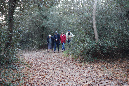 30nov_2014_ronce_45