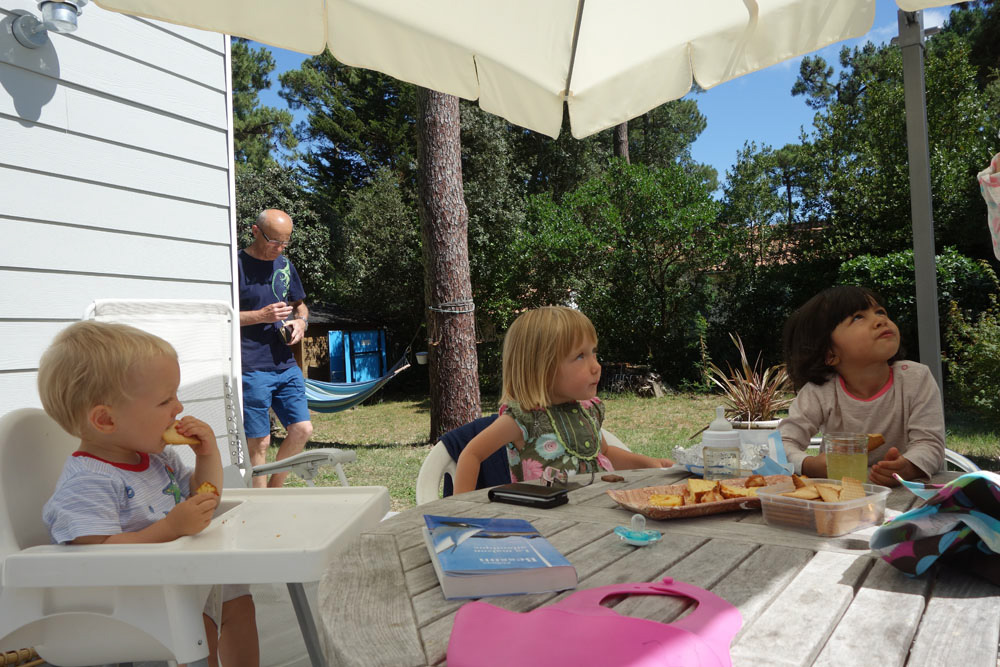 Ronce_juillet_2014_004