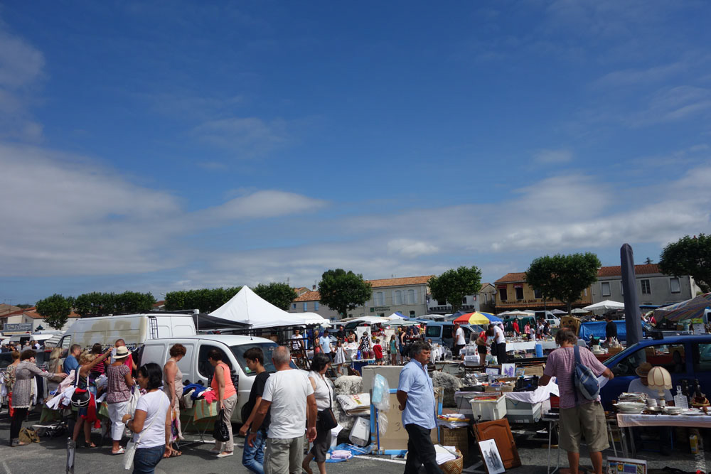 Ronce_juillet_2014_041
