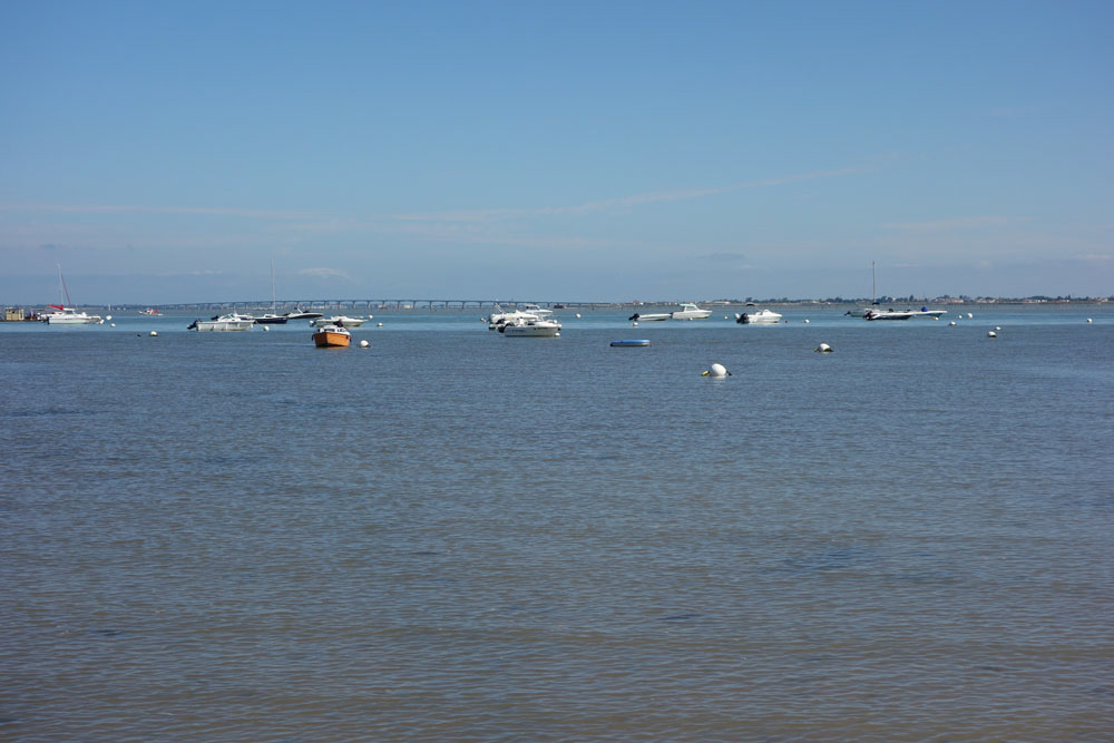 Ronce_juillet_2014_058
