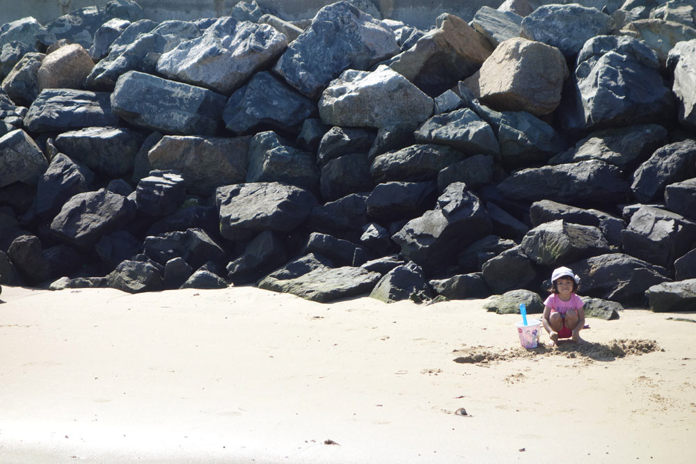 Ronce_juillet_2014_059