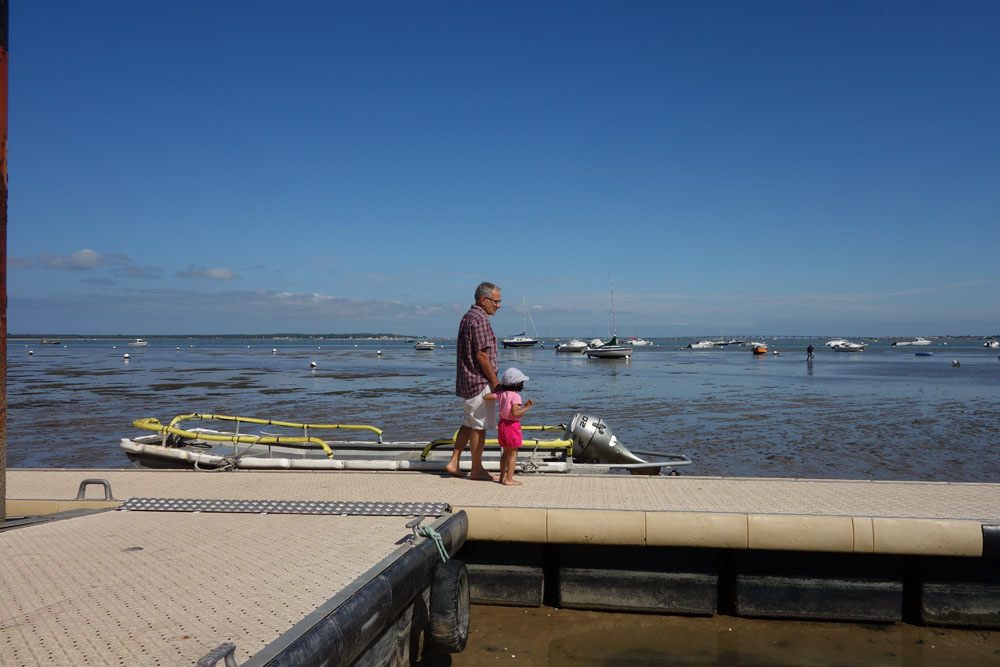 Ronce_juillet_2014_065