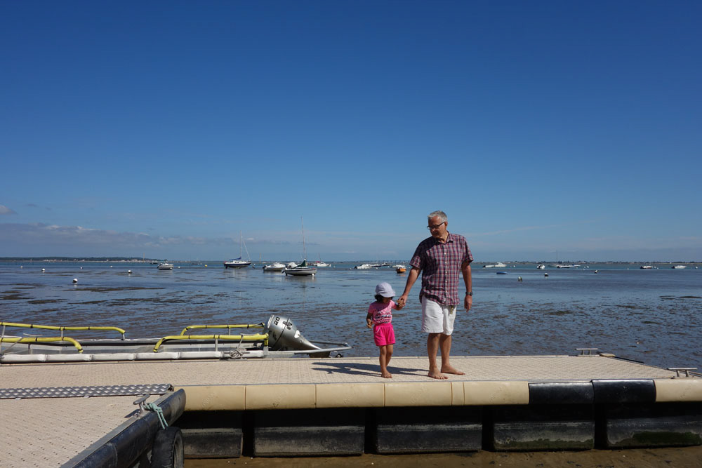 Ronce_juillet_2014_066