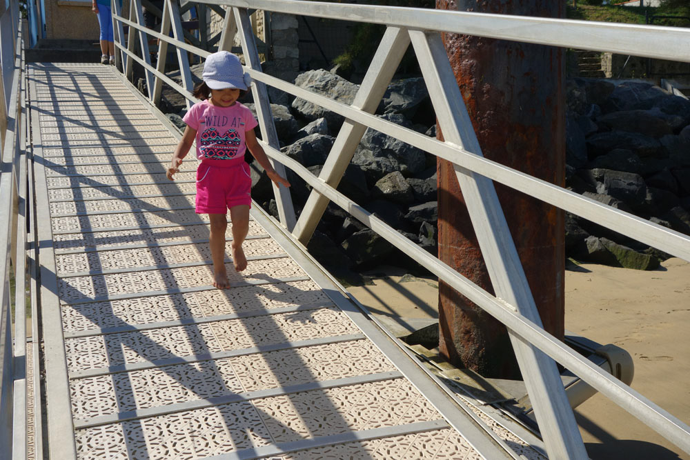 Ronce_juillet_2014_071