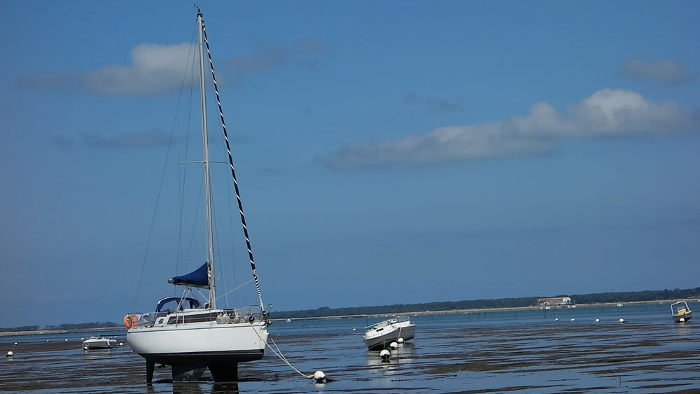 Ronce_juillet_2014_074