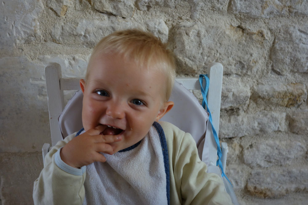 Ronce_juillet_2014_101