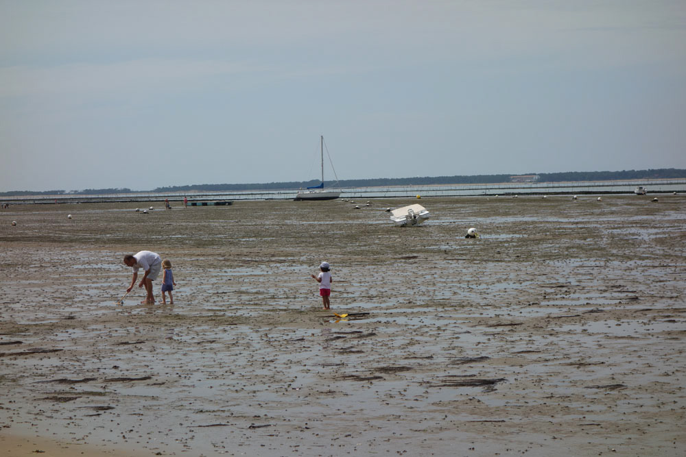 Ronce_juillet_2014_131