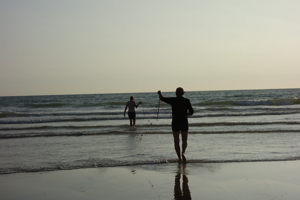 Ronce_juillet_2014_198