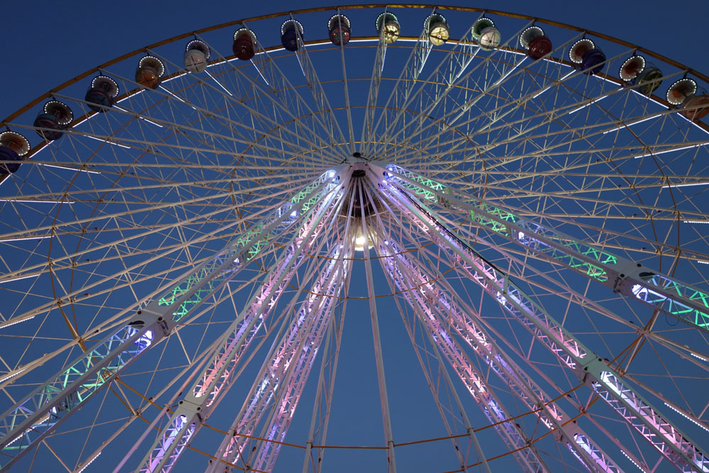 Ronce_juillet_2014_252