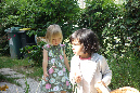 Ronce_juillet_2014_015