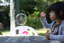 Ronce_juillet_2014_035