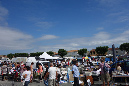 Ronce_juillet_2014_041