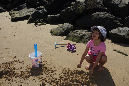 Ronce_juillet_2014_057