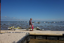 Ronce_juillet_2014_065