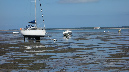 Ronce_juillet_2014_072